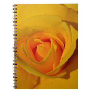 Elegante Blume Gelb Rose Notizblock