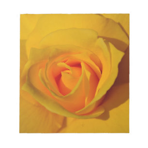 Elegante Blume Gelb Rose Notizblock
