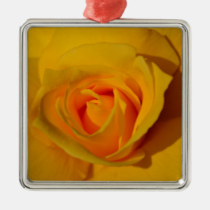 Elegante Blume Gelb Rose Silbernes Ornament