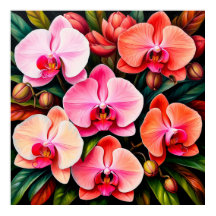 Elegante Blume in Rosa und Orange Orchideen