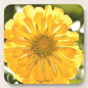 Elegante Blume mit Blumen Getränkeuntersetzer