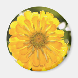 Elegante Blume mit Blumen Magnet