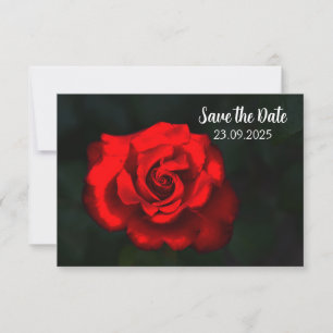 Elegante Blume Rote Rose Save the Date