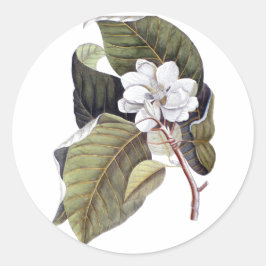 Elegante Blume Süd Runder Aufkleber