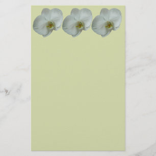 Elegante Blume Weiß Orchid Botanisch Briefpapier