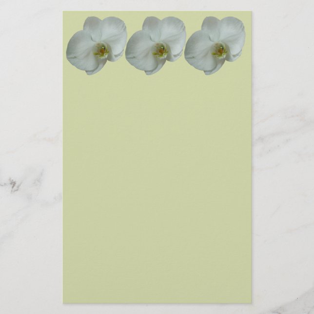 Elegante Blume Weiß Orchid Botanisch Briefpapier (Vorderseite)