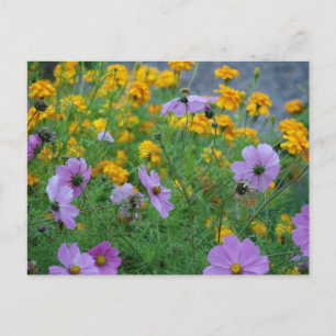 Elegante Blumenhochzeitsdusche Frieden Liebe Schic Postkarte