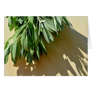 Elegante botanisch-grüne Kräuter Blätter Salbei