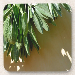 Elegante botanisch-grüne Kräuter Blätter Salbei Getränkeuntersetzer