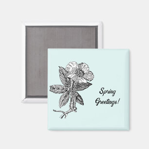 Elegante botanische Illustration einer Frühlingsbl Magnet