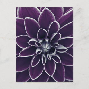 Elegante botanische Lila Blume Postkarte