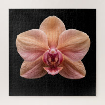 Elegante Botanische Orchideen-Sammlung Poster