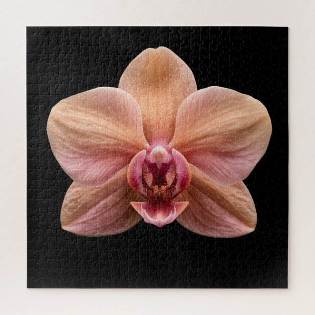 Elegante Botanische Orchideen-Sammlung Poster Puzzle (Vertikal)