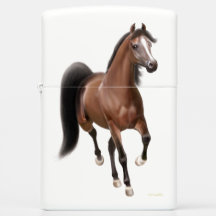 Elegante Bucht-arabisches PferdZippo Feuerzeug