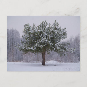 Elegante bunte Reise-Postkarte mit Baum Feiertagspostkarte