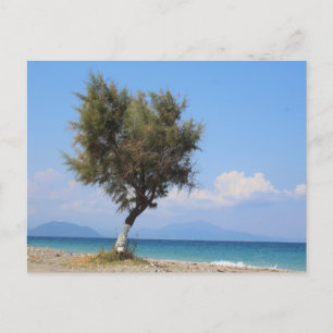 Elegante bunte Reise-Postkarte mit Baum Feiertagspostkarte
