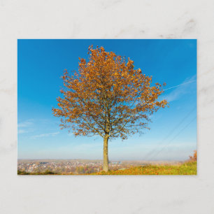 Elegante bunte Reise-Postkarte mit Baum Feiertagspostkarte
