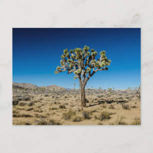 Elegante bunte Reise-Postkarte mit Baum Feiertagspostkarte