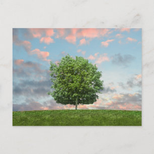 Elegante bunte Reise-Postkarte mit Baum Feiertagspostkarte