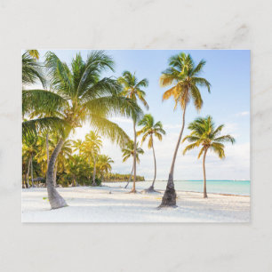 Elegante bunte Reise-Postkarte mit Baum Feiertagspostkarte
