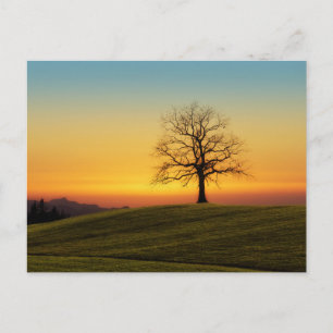 Elegante bunte Reise-Postkarte mit Baum Feiertagspostkarte