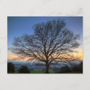 Elegante bunte Reise-Postkarte mit Baum Feiertagspostkarte