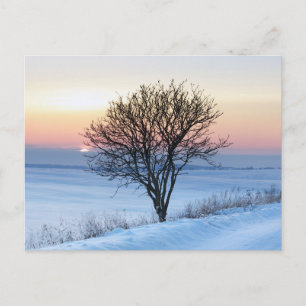 Elegante bunte Reise-Postkarte mit Baum Feiertagspostkarte