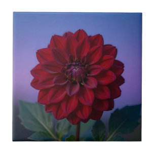 Elegante Burgunderrote Dahlienblüte  Fliese