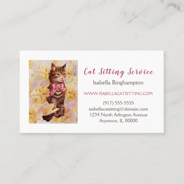 Elegante Cat Sitting Services Business Card Visitenkarte (Vorderseite)