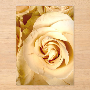 Elegante Champagner-Rosen-Makro-Acryleinladung Acryleinladungen