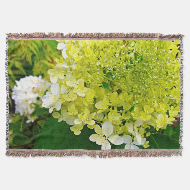 Elegante Chartreuse Green Limelight Hydrangea Decke (Vorderseite)