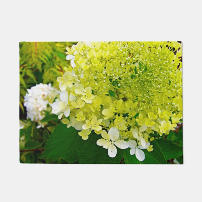 Elegante Chartreuse Green Limelight Hydrangea Fußmatte (Vorderseite)