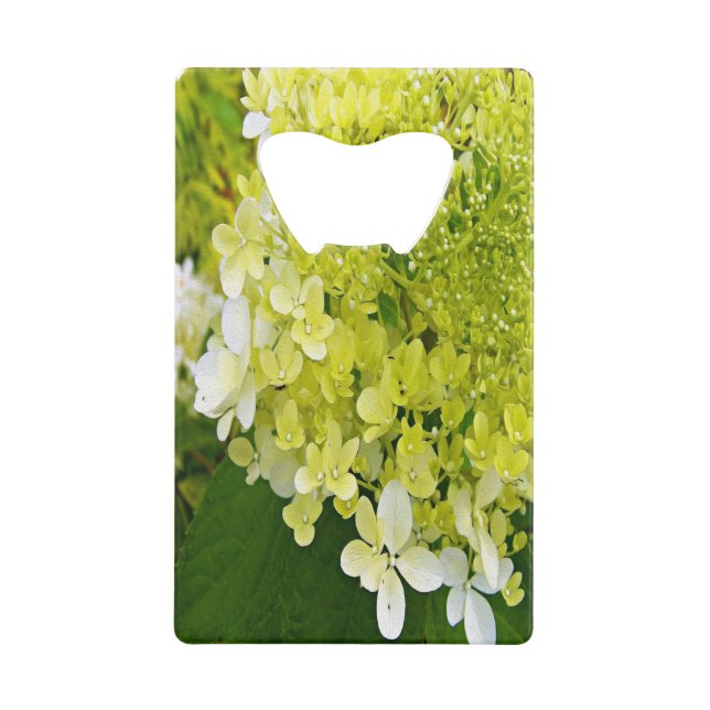 Elegante Chartreuse Green Limelight Hydrangea Geldbeutel Flaschenöffner (Vorderseite)