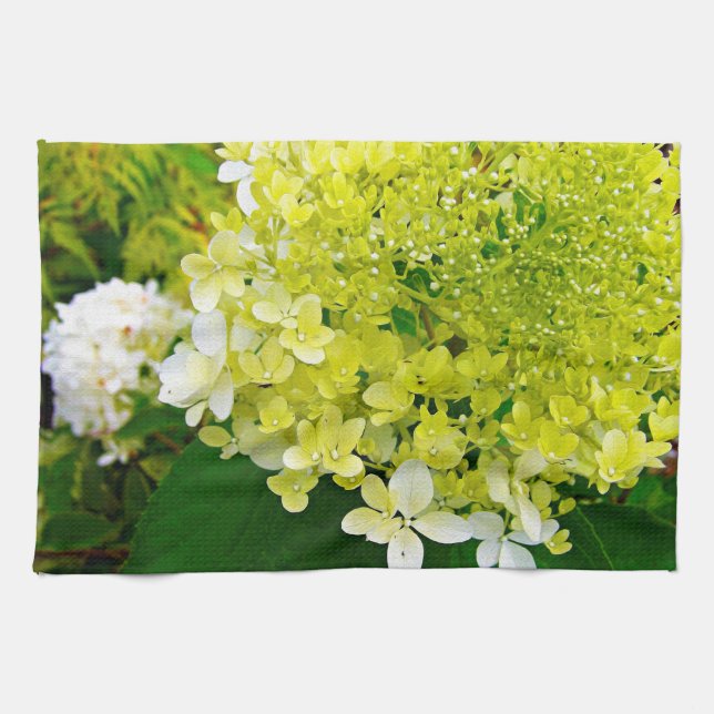 Elegante Chartreuse Green Limelight Hydrangea Geschirrtuch (Horizontal)
