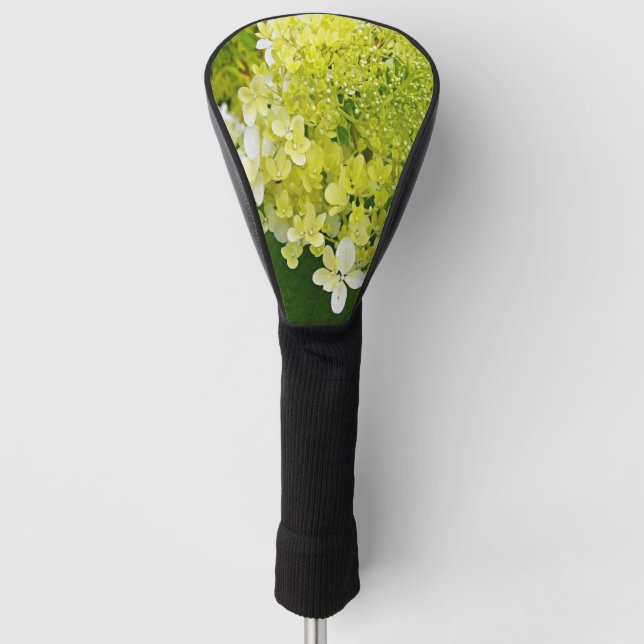 Elegante Chartreuse Green Limelight Hydrangea Golf Headcover (Vorderseite)