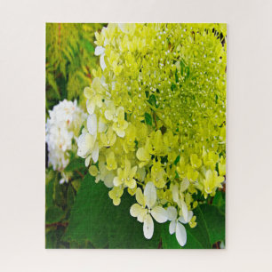 Elegante Chartreuse Green Limelight Hydrangea Puzzle