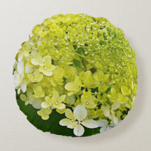 Elegante Chartreuse Green Limelight Hydrangea