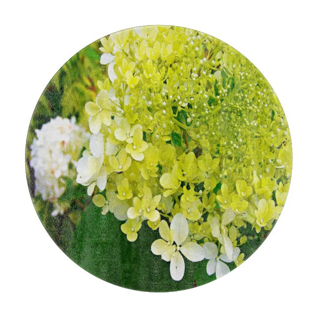 Elegante Chartreuse Green Limelight Hydrangea Schneidebrett (Vorderseite)