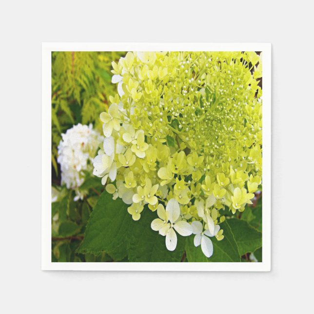 Elegante Chartreuse Green Limelight Hydrangea Serviette (Vorderseite)