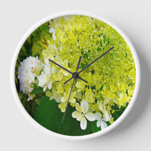 Elegante Chartreuse Green Limelight Hydrangea Uhr
