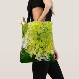 Elegante Chartreuse-Grüne Limelight-Hortensie