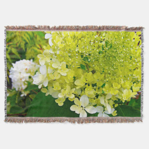 Elegante Chartreuse-Grüne Limelight-Hortensie Decke