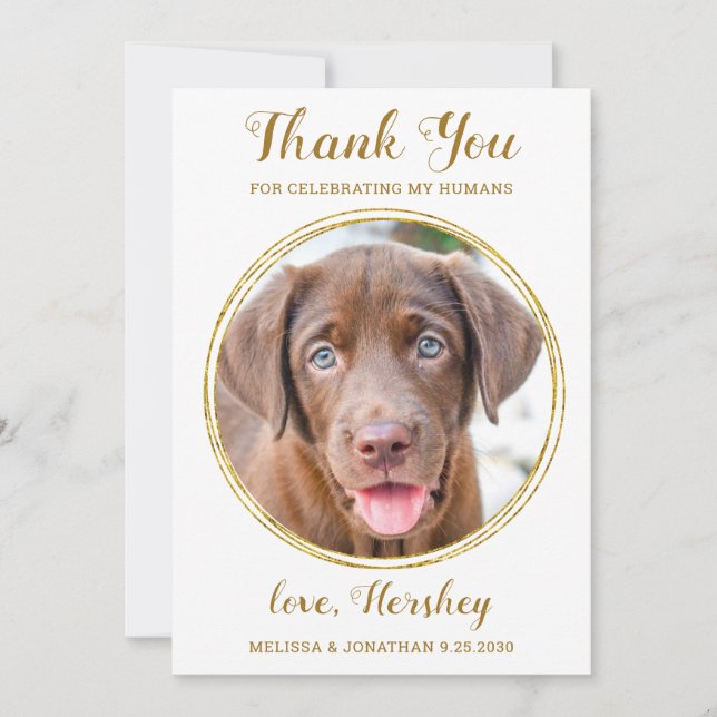 Elegante Chic Gold Custom Pet Foto Hochzeit Dankeskarte (Vorderseite)