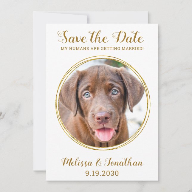 Elegante Chic Gold Custom Pet Foto Hochzeit Save The Date (Vorderseite)