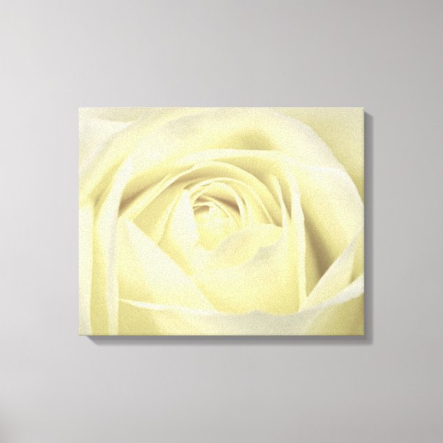 Elegante Cream Rose Leinwand (Vorderseite)
