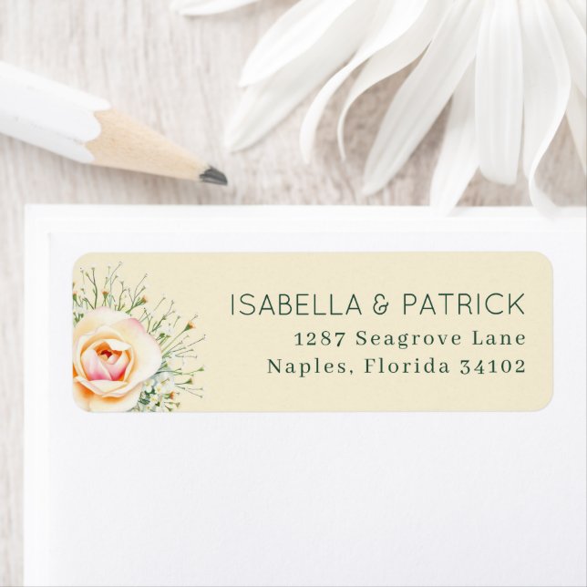 Elegante cremefarbene florale Rose (Insitu)