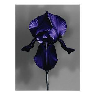 Elegante dunkle Iris mit rauschiger Grau Poster
