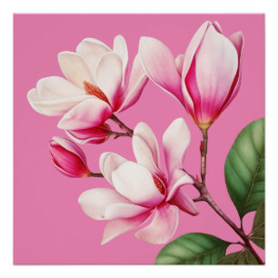 Elegante einfache rosa Blumen-Blumenkunst Poster