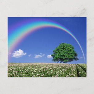 Elegante farbenfrohe Reise-Postkarte mit Baum Feiertagspostkarte