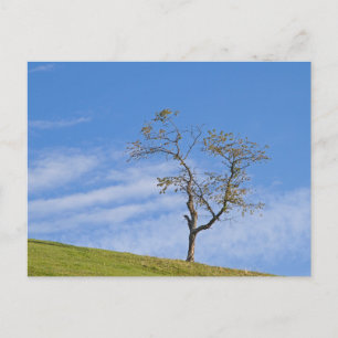 Elegante farbenfrohe Reise-Postkarte mit Baum Feiertagspostkarte